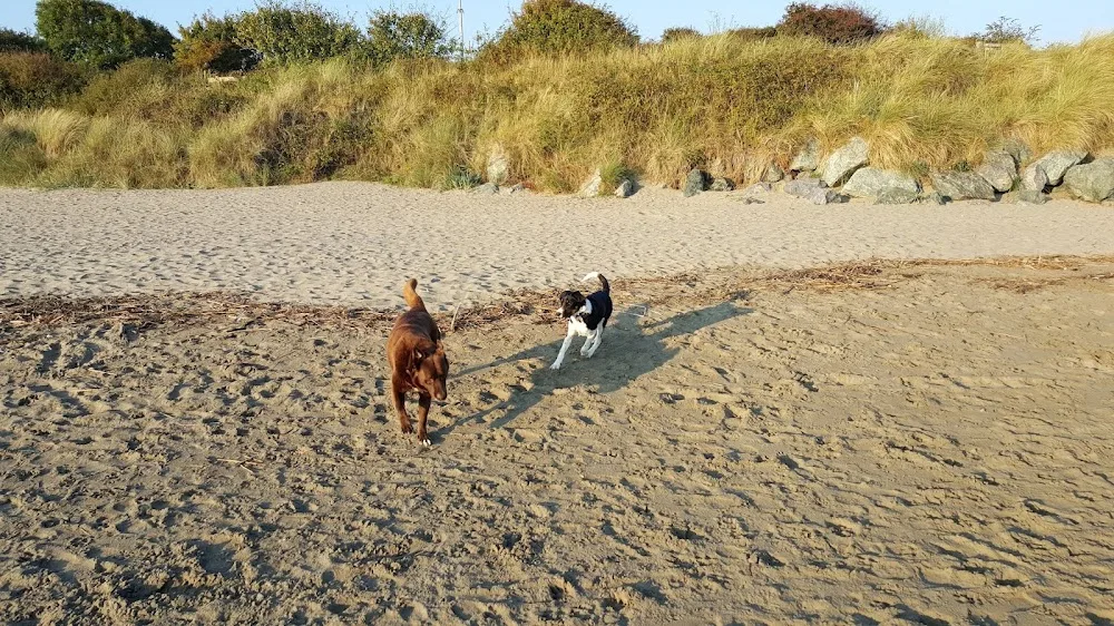 Rhydlewis Kennels - Ceredigion pet otel görseli 2