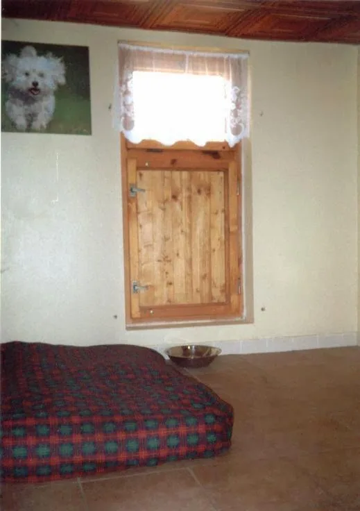AJAX hotel for dogs and cats - Česká Lípa pet otel görseli 3