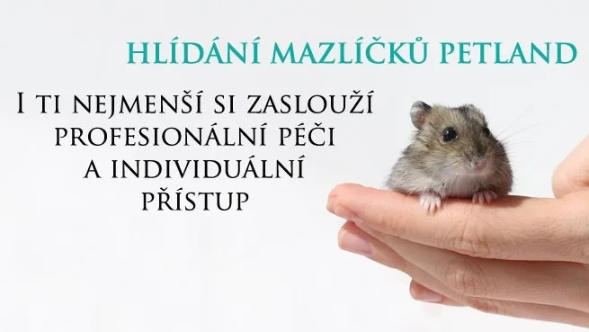 Hlídání mazlíčků Petland - Česká Lípa pet otel