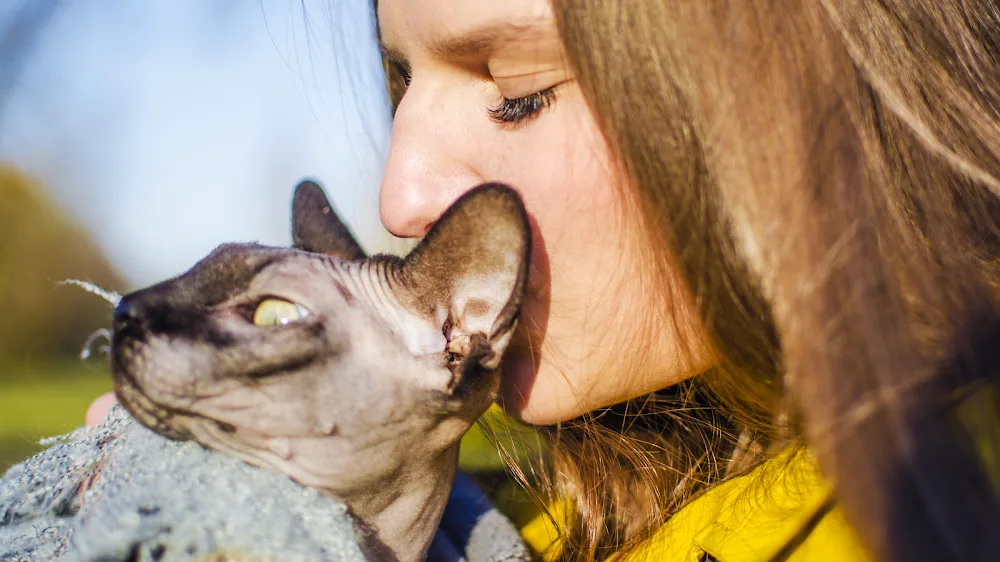 Cat mom - Český Krumlov pet otel