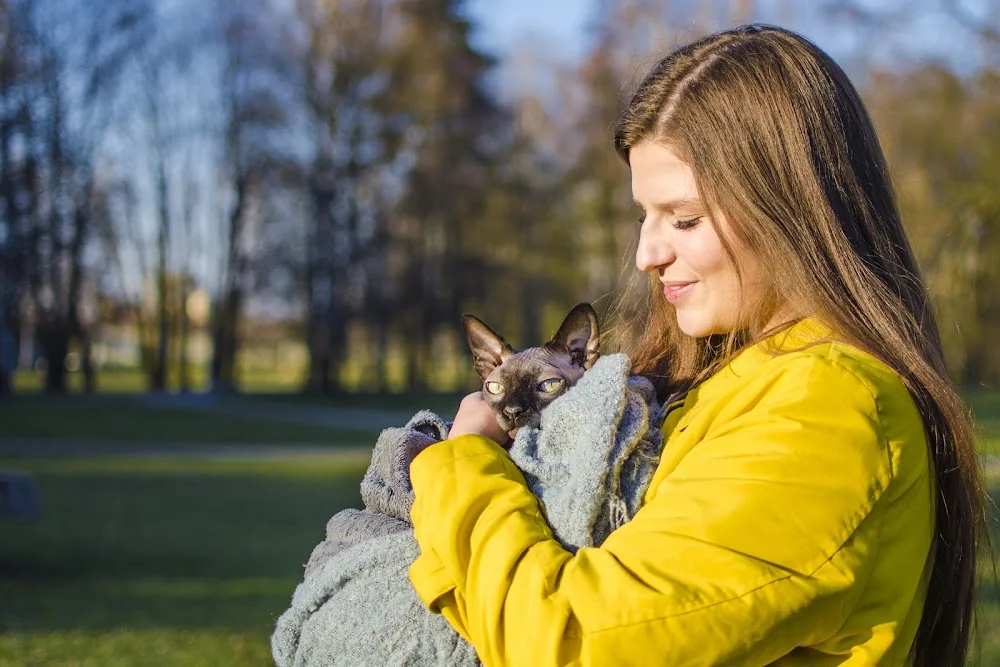 Cat mom - Český Krumlov pet otel görseli 3