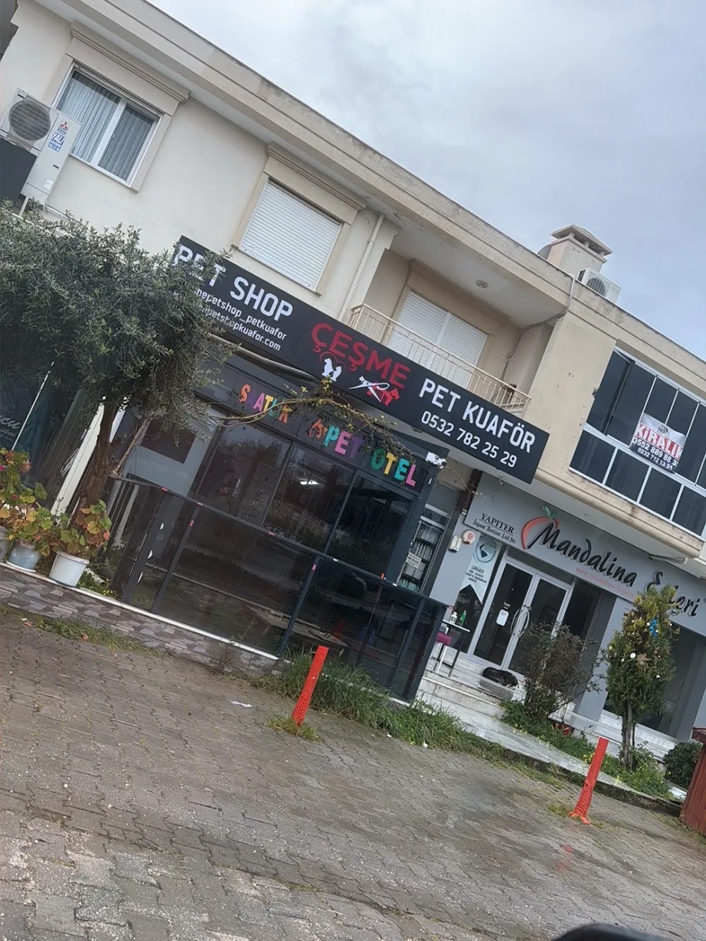 Çeşme Pet Shop Pet Kuaför Pet Otel Köpek Eğitimi - Çeşme pet otel görseli 2