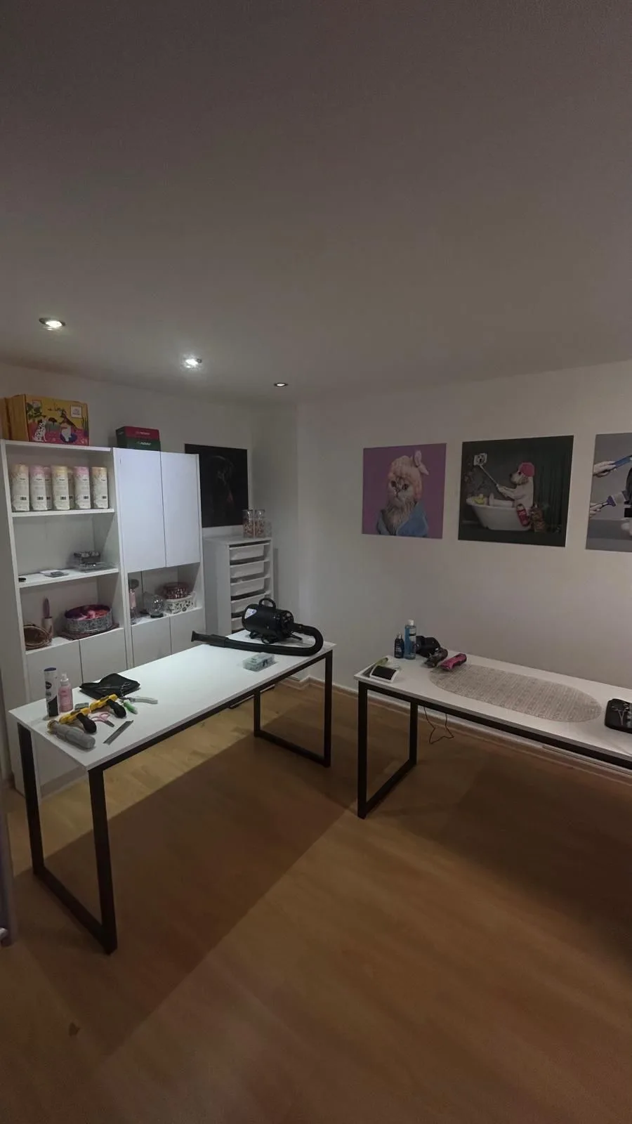 Çeşme Pet Shop Pet Kuaför Pet Otel Köpek Eğitimi - Çeşme pet otel görseli 3