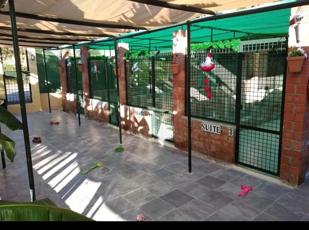 Residencia Canina Elvira Libert-Mimos - Ceuta pet otel