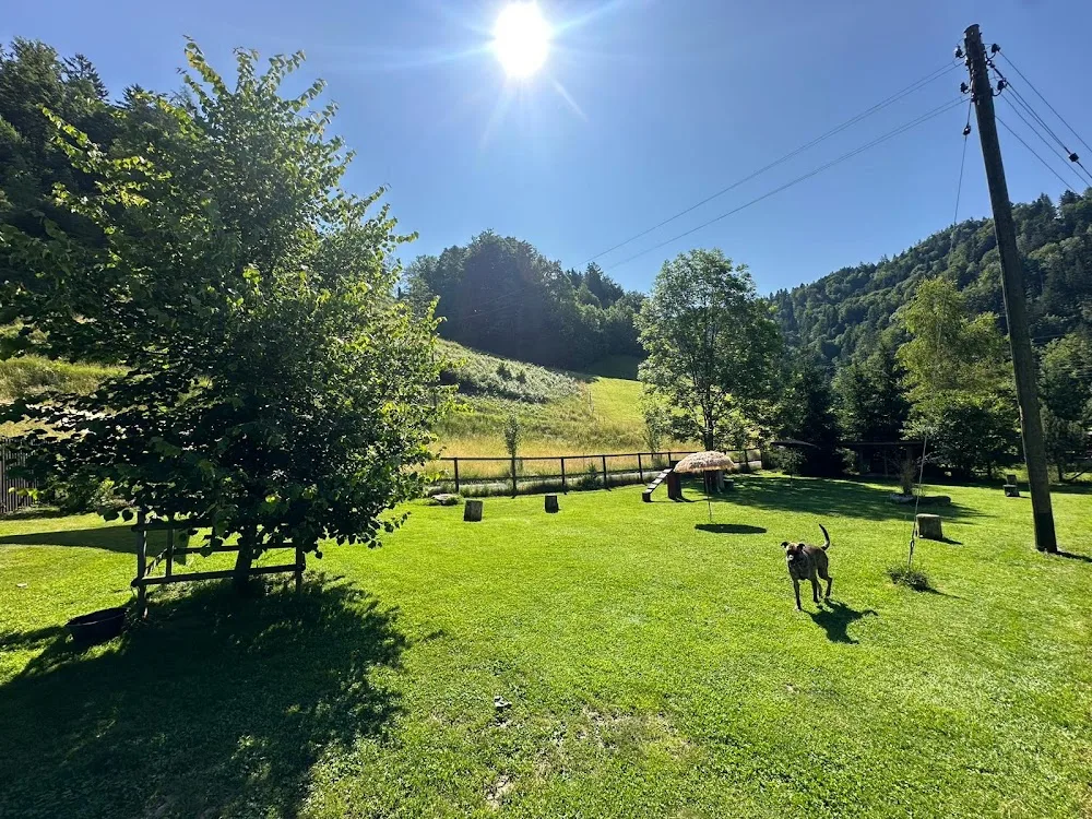 Beckers Grand Hotel für Hunde - Jura pet otel