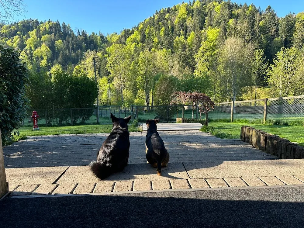 Beckers Grand Hotel für Hunde - Jura pet otel görseli 3