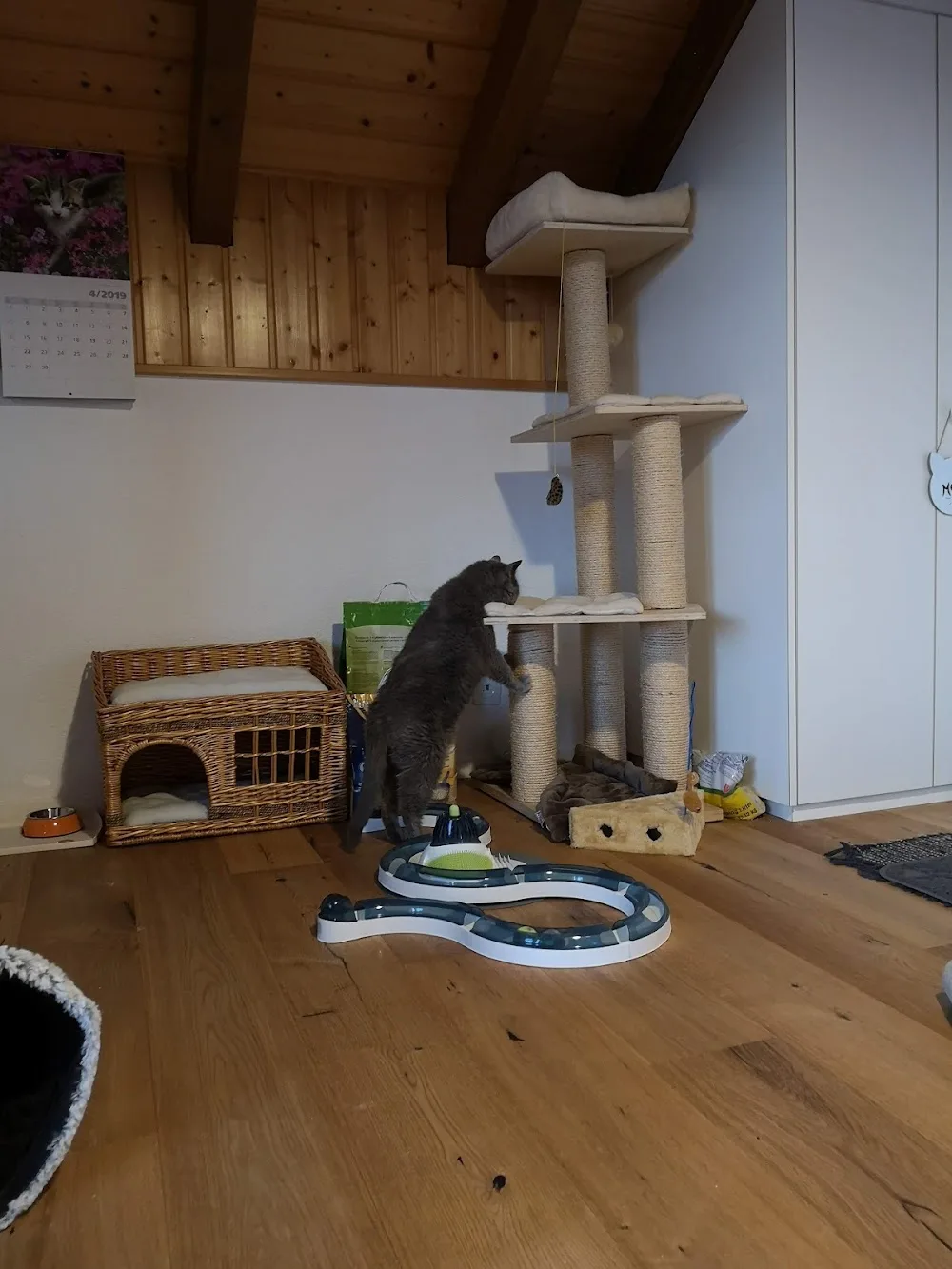 Catz & Co. GmbH - Jura pet otel