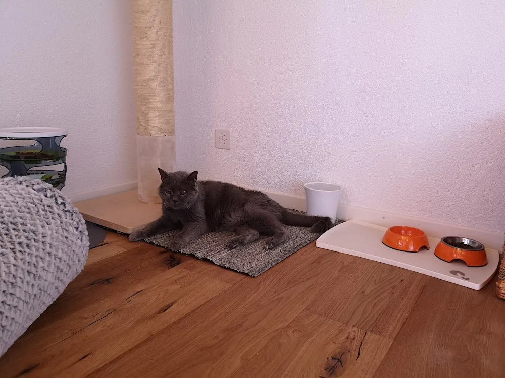 Catz & Co. GmbH - Jura pet otel görseli 3