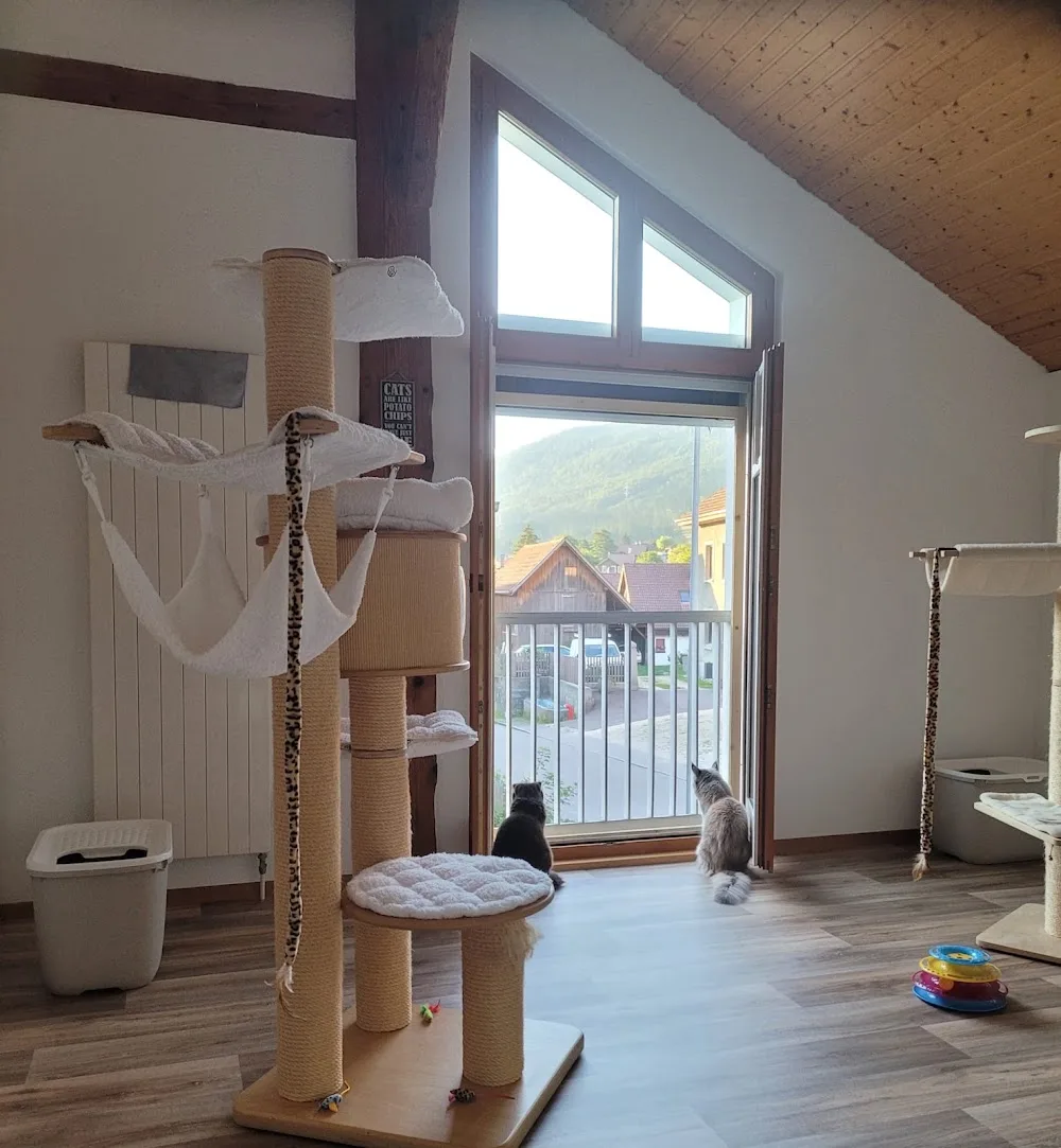 Hôtel Chat l'Heureux - Jura pet otel