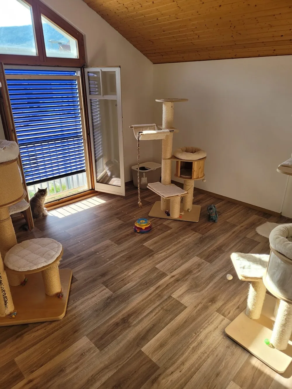 Hôtel Chat l'Heureux - Jura pet otel görseli 3
