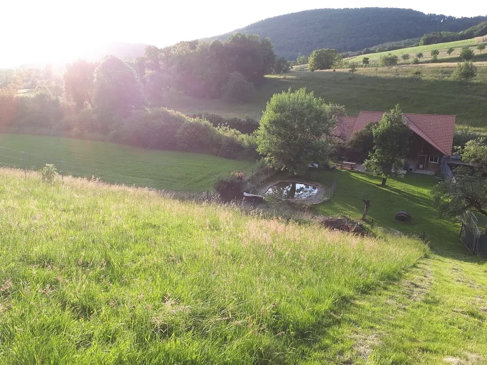Hundepension Grisette - Jura pet otel görseli 3