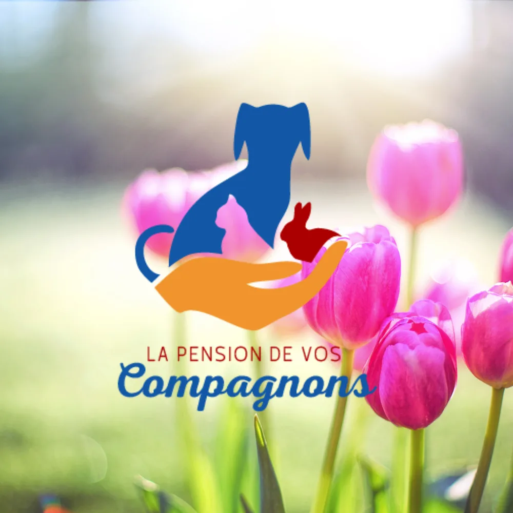 La Pension de vos compagnons - Joane Pignolet - Jura pet otel