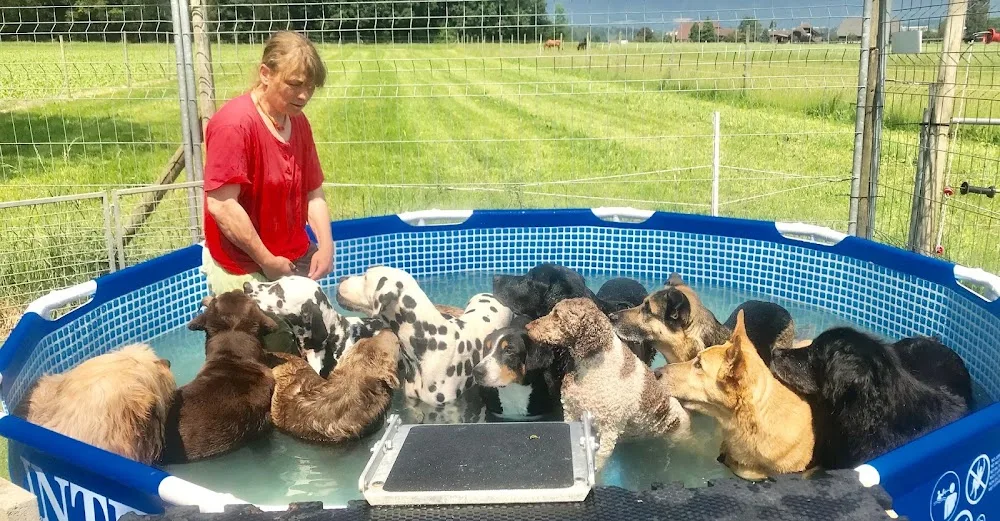 Nimalik Hundeschule & Hundepension - Jura pet otel görseli 3