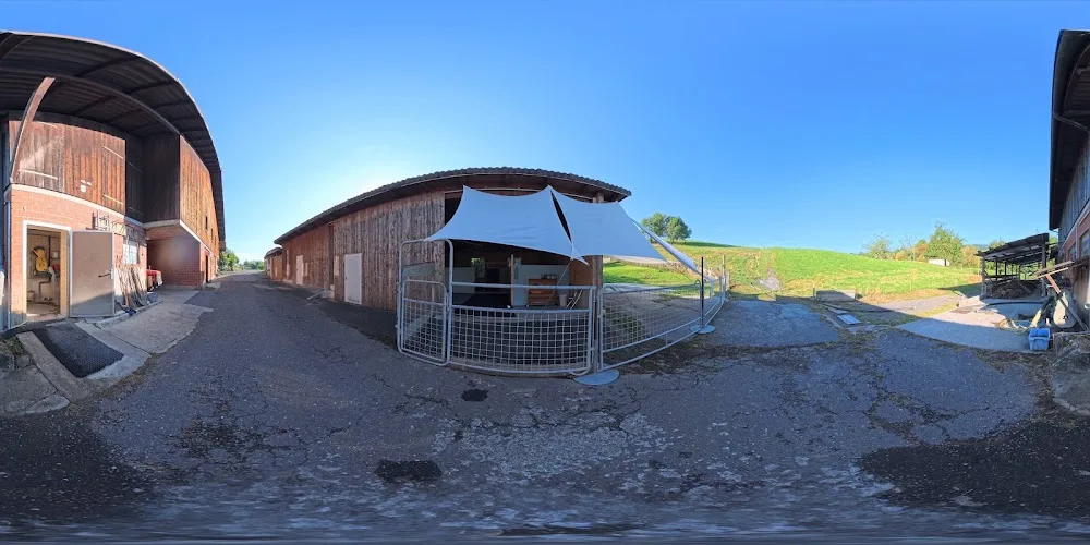 Hundehort-Aahus - Lucerne pet otel görseli 3