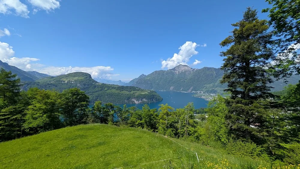 Hundepension Betschart - Lucerne pet otel