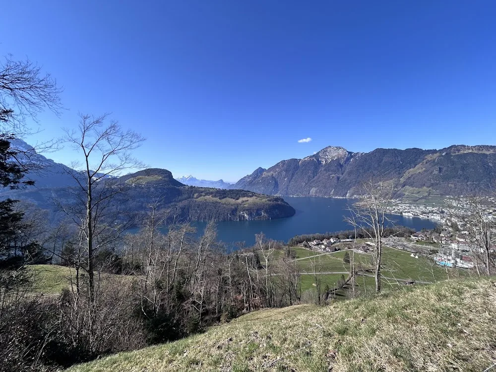 Hundepension Betschart - Lucerne pet otel görseli 3