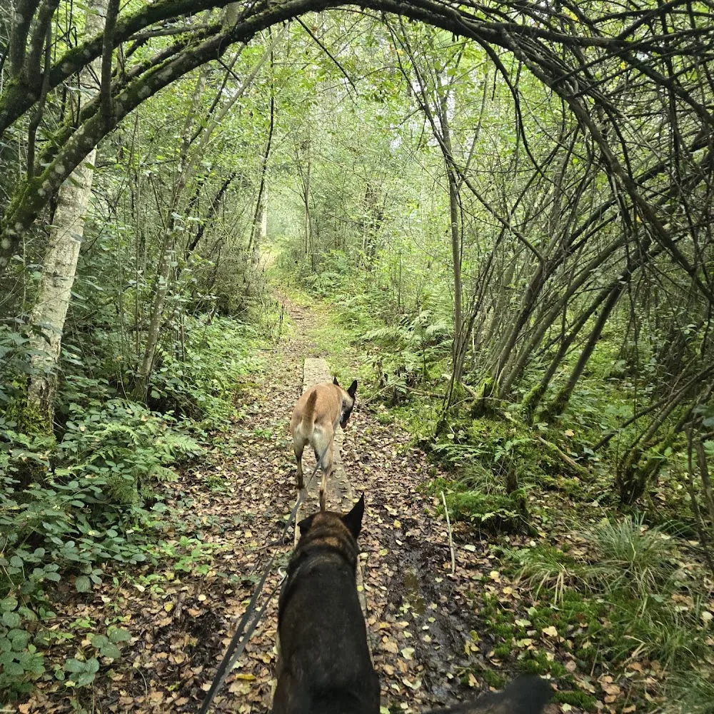 Hundewesen Schweiz | Hundetraining & Hundepension Luzern - Lucerne pet otel