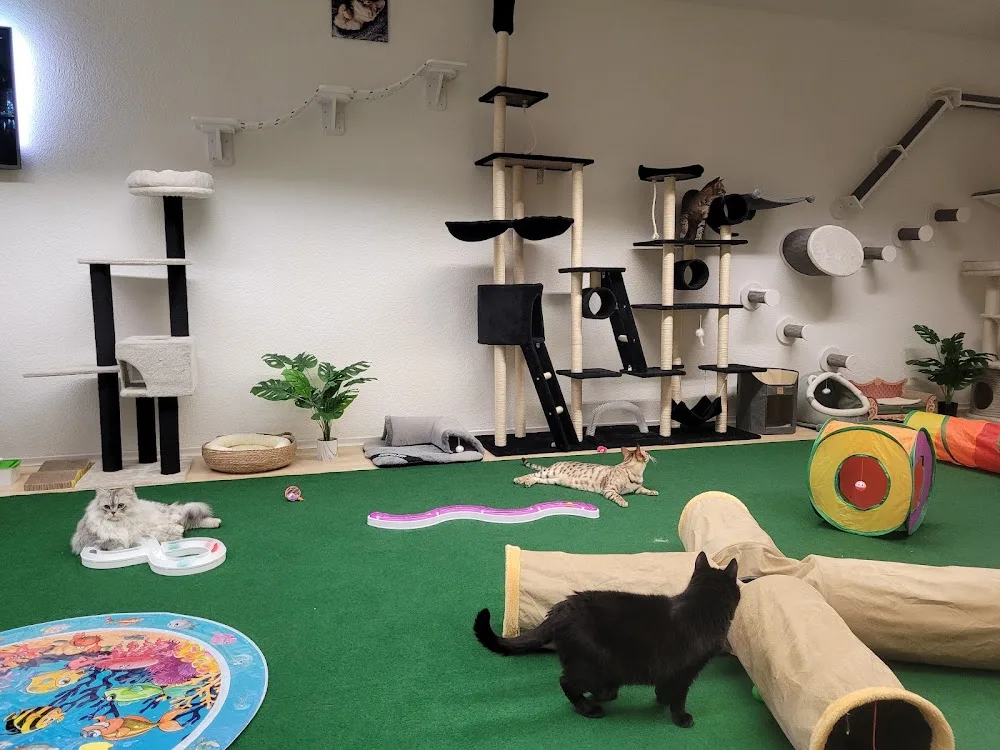 Katzenhotel-Alexa - Lucerne pet otel görseli 3