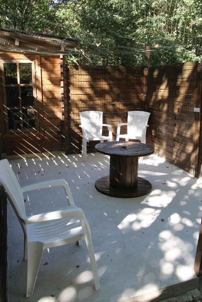Axelle and Co - Charente-Maritime pet otel