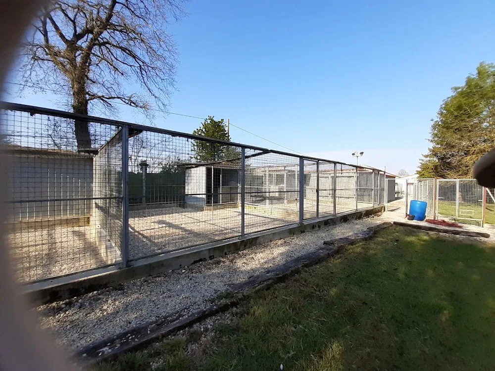 Cani-Services - Charente-Maritime pet otel görseli 6