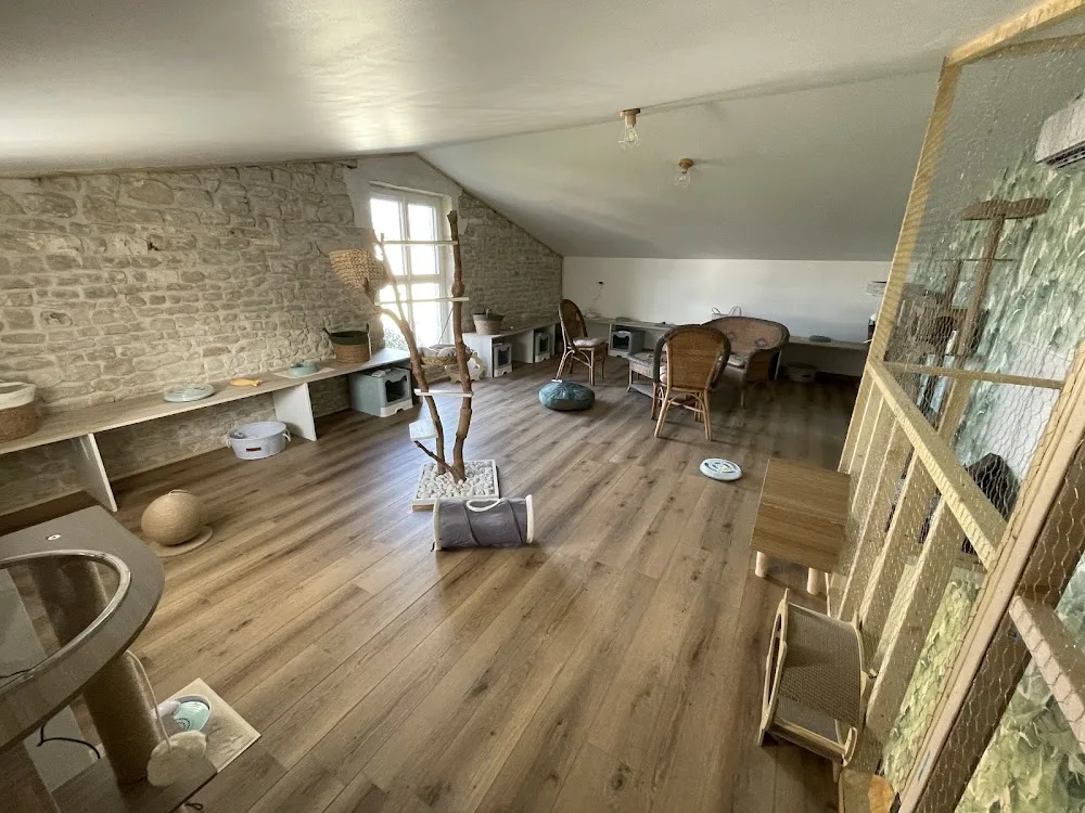 Chalet des P'tites Moustaches - Charente-Maritime pet otel görseli 3
