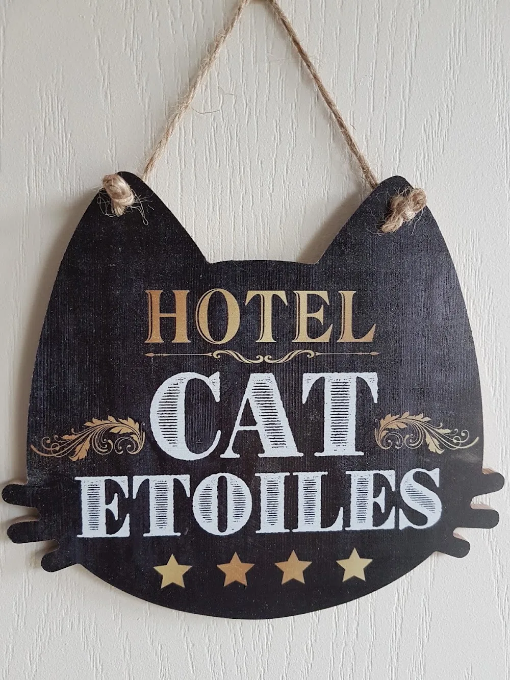 Co'Coon Cat hôtel pour chats - Charente-Maritime pet otel