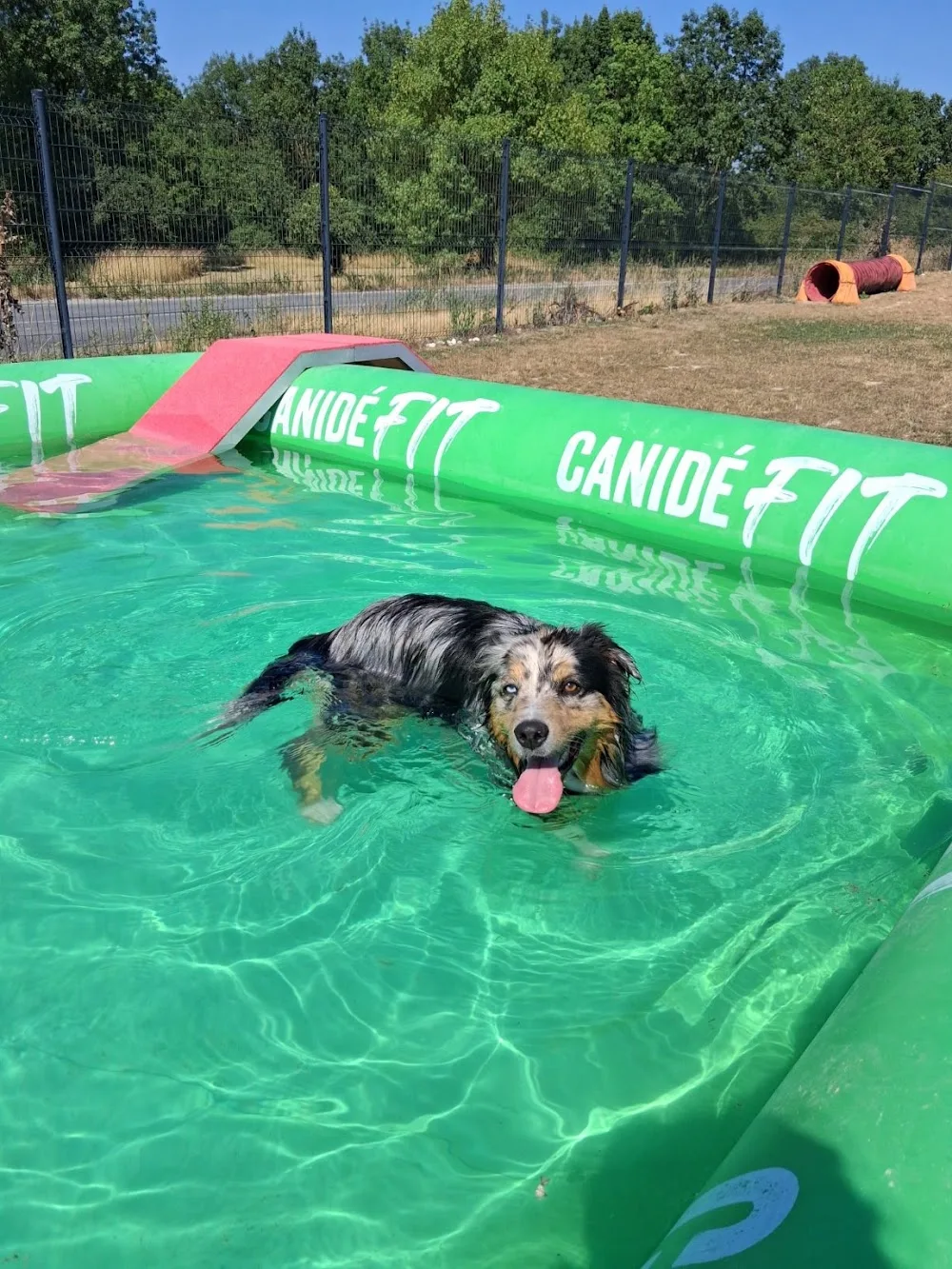 Cognac Pet Resort - Charente-Maritime pet otel