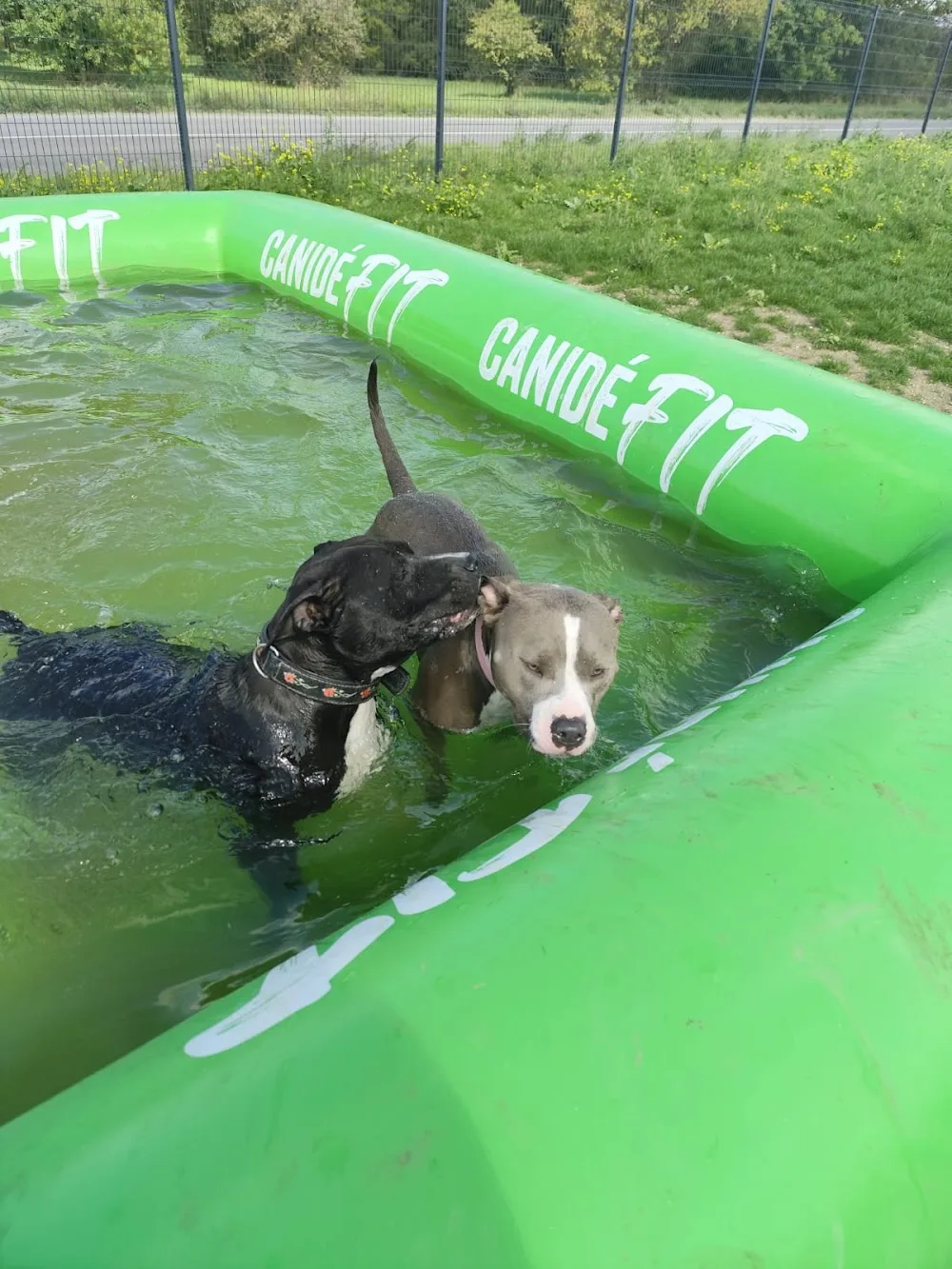 Cognac Pet Resort - Charente-Maritime pet otel görseli 7