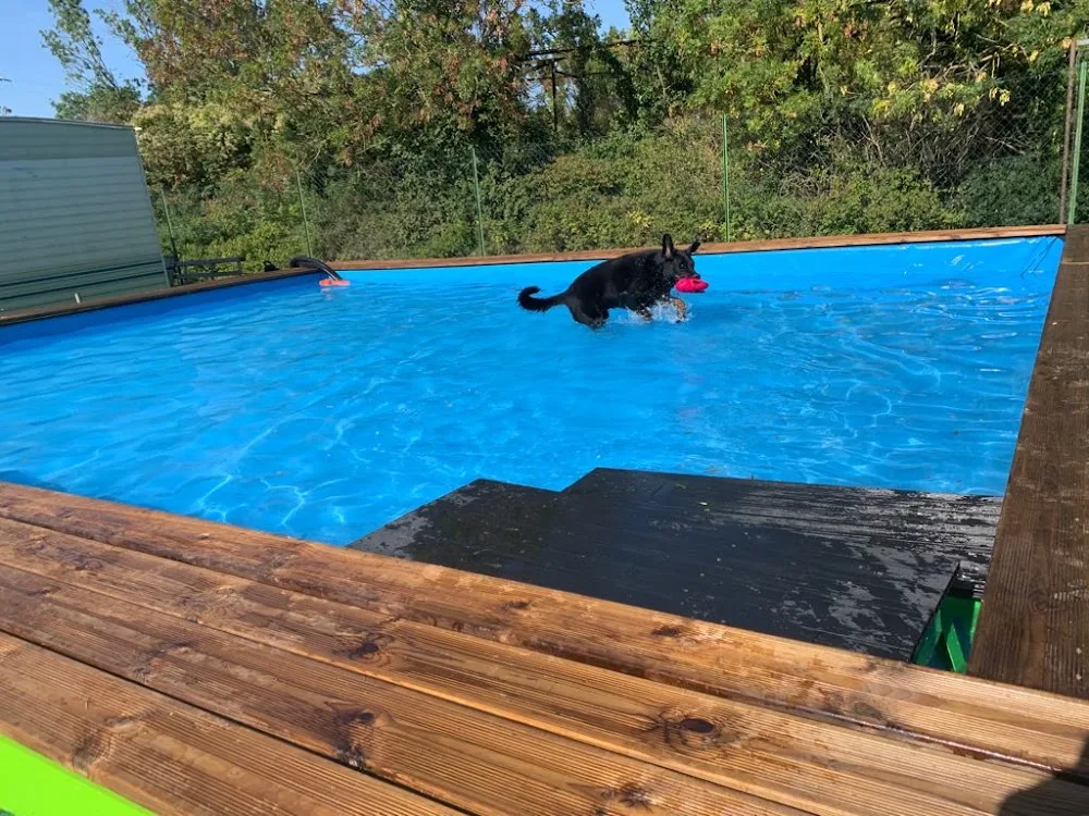 Domaine de Château Milan - Pension chiens & chats La Rochelle - Charente-Maritime pet otel görseli 3