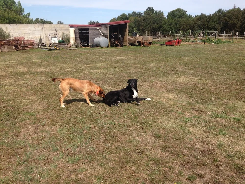La Wouaf Academie - Charente-Maritime pet otel