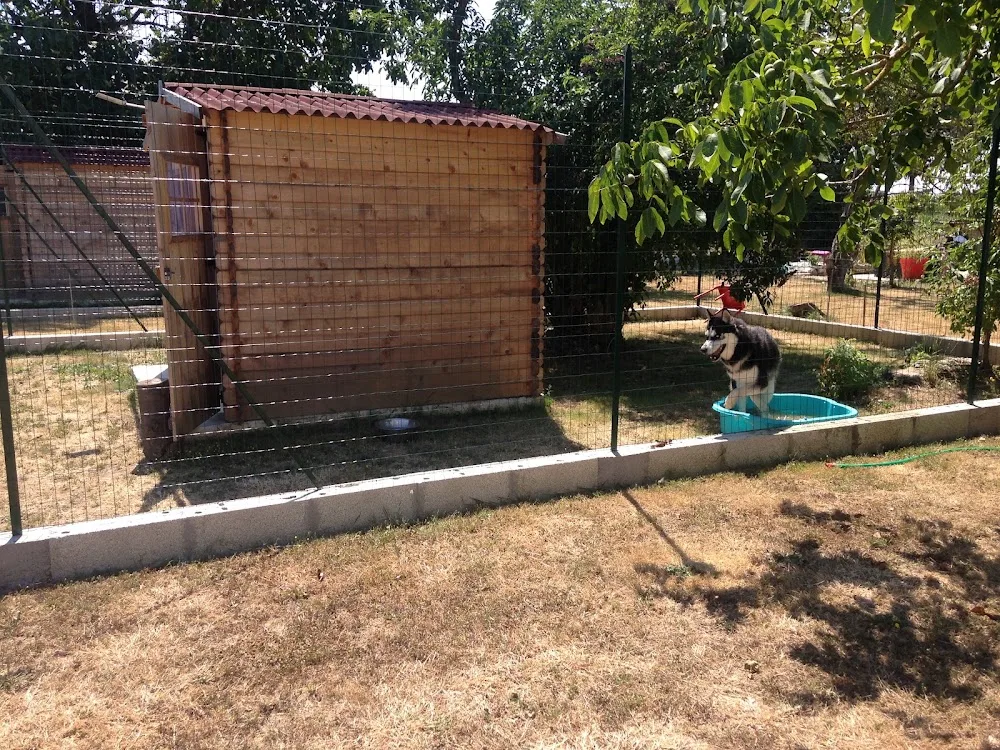 La Wouaf Academie - Charente-Maritime pet otel görseli 7