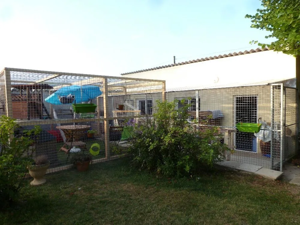 L'arche de Corinne - Charente-Maritime pet otel görseli 3