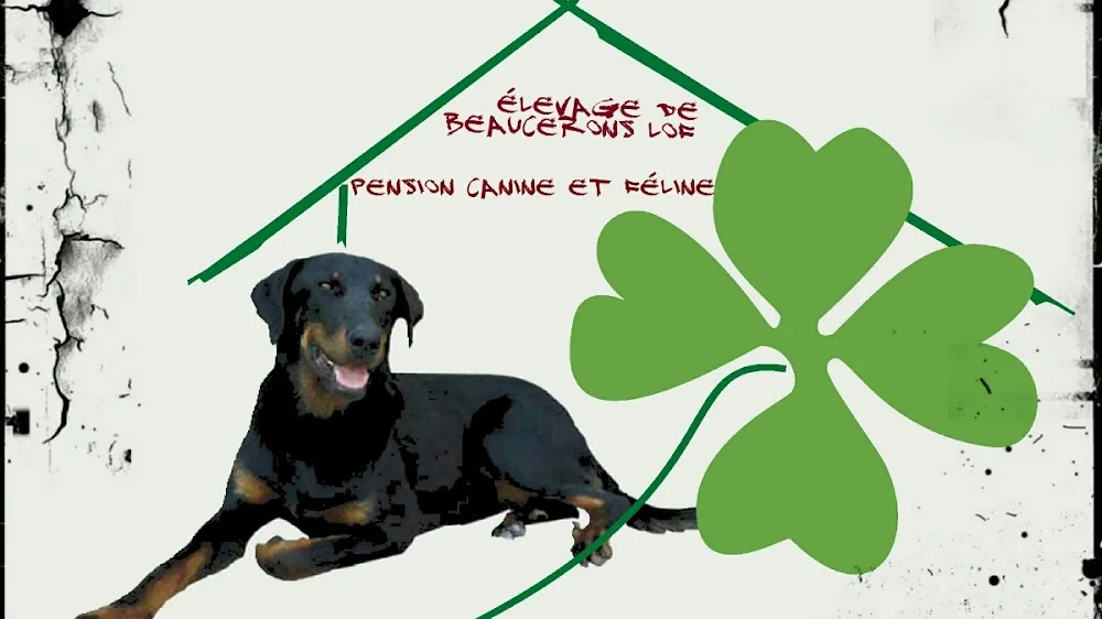 Le Logis du Trèfle - Charente-Maritime pet otel