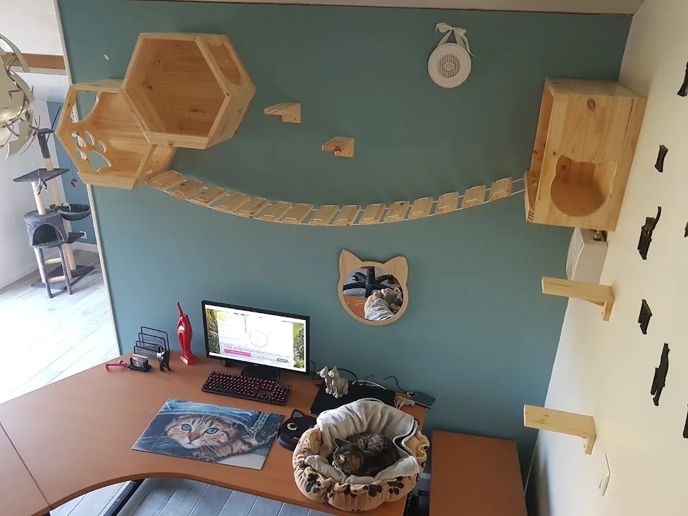 Le Nid tout doux pour Minou - Pension de Vacances pour Chat - Charente-Maritime pet otel görseli 7