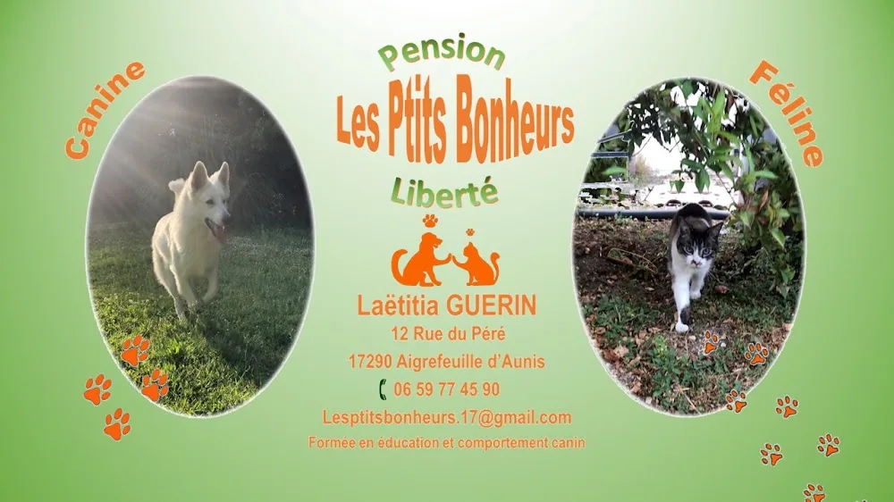 Les Ptits Bonheurs - Pension féline - Charente-Maritime pet otel