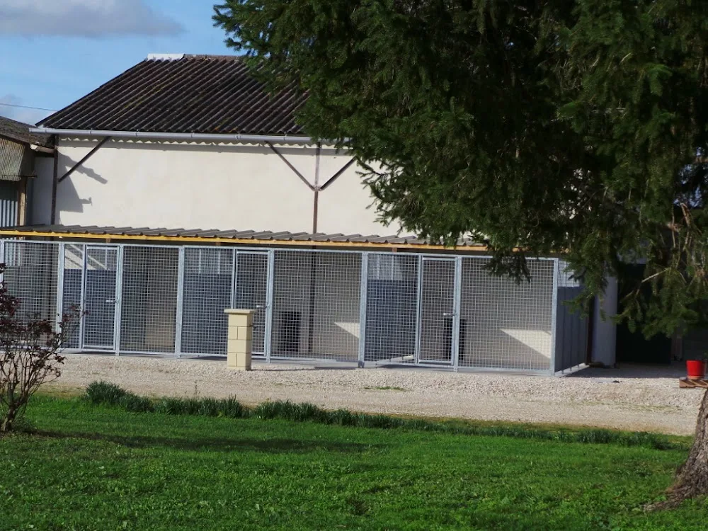 Pension Canine et Féline des Grands Lauriers - Charente-Maritime pet otel görseli 3