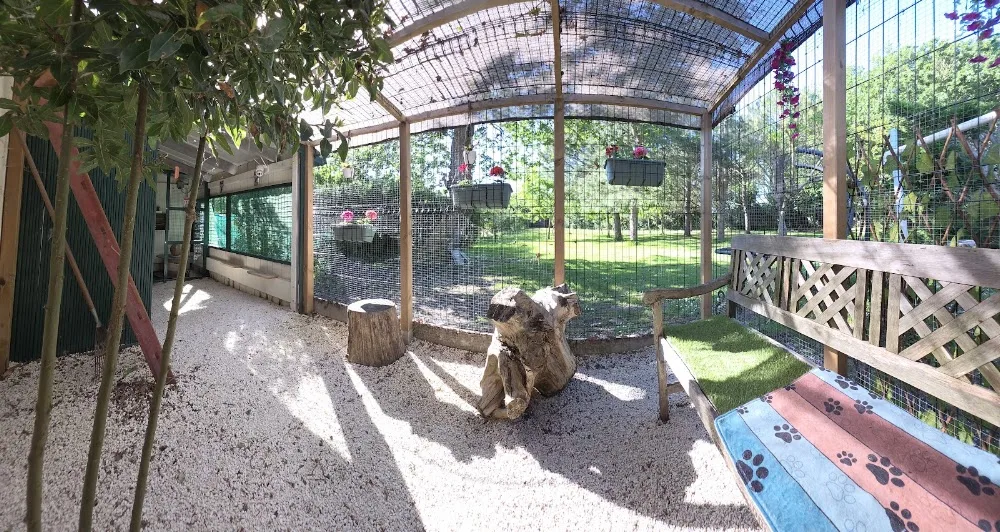 PENSION FELINE DU MOULIN - Charente-Maritime pet otel