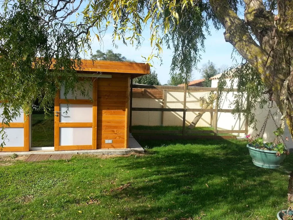 Pension pour chats Oh Chapatoon . Visites - Charente-Maritime pet otel