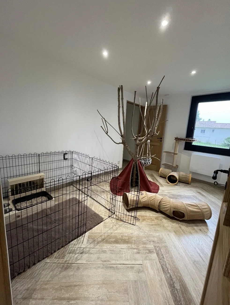Mille Patounes - Pension chien, chat et NAC - Visite à domicile - Charente pet otel