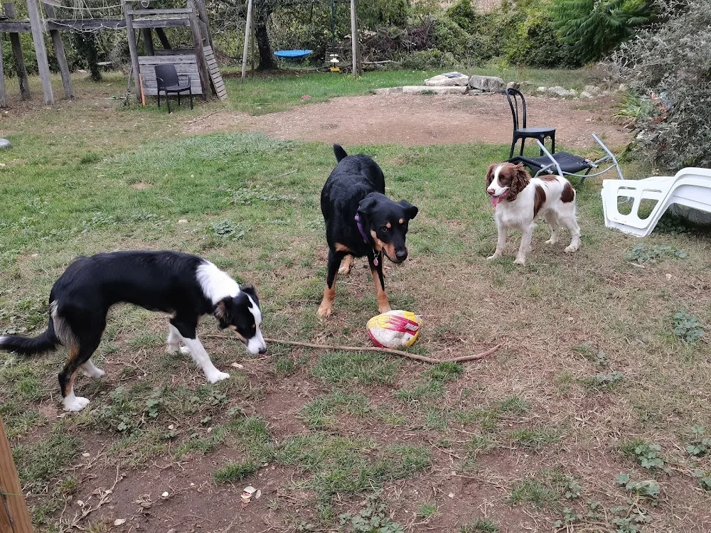Sabrina Pet Sitter - garde d'animaux16 - Charente pet otel