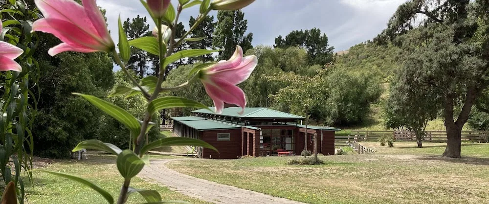 Avoca Valley Cattery - Chatham Islands pet otel