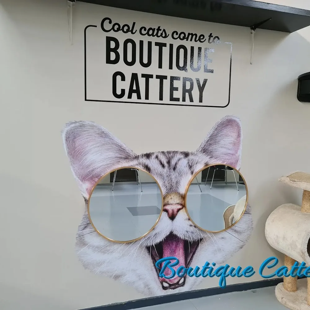 Boutique Cattery - Chatham Islands pet otel