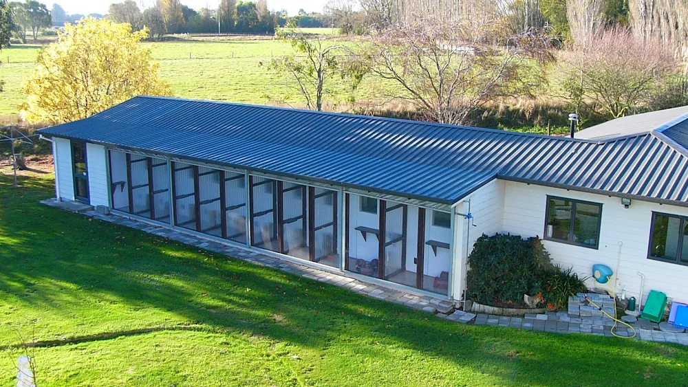 Cat Habitat Boarding Cattery - Chatham Islands pet otel