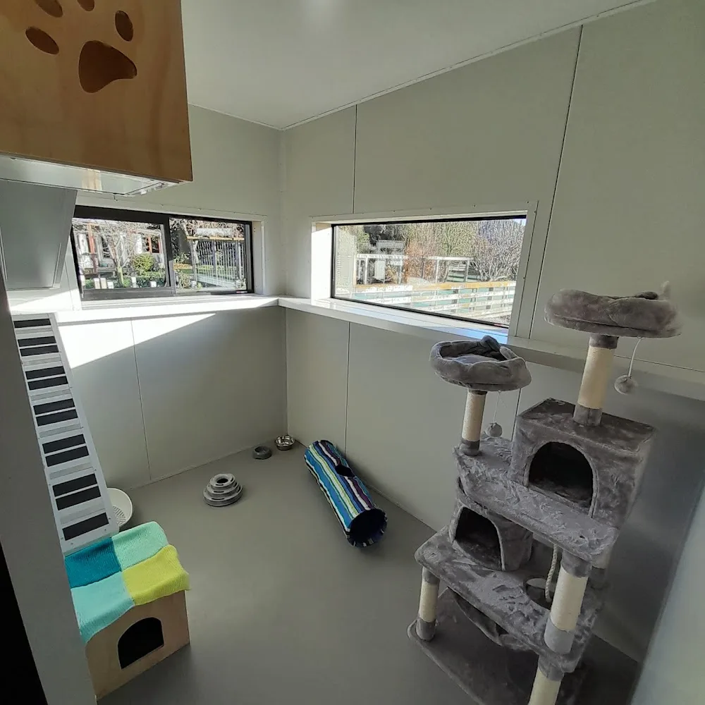 Cattery122 - Chatham Islands pet otel görseli 3