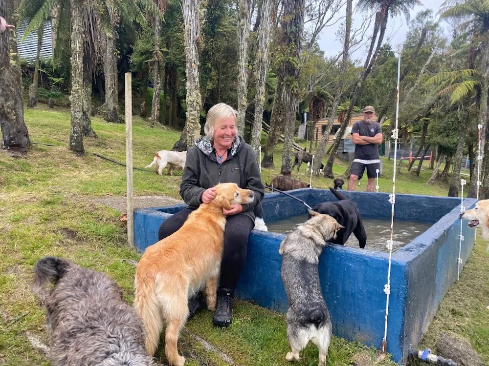 It's not the DOG we're TRAINING & Two Brown Dogs and a Cat - Chatham Islands pet otel görseli 3