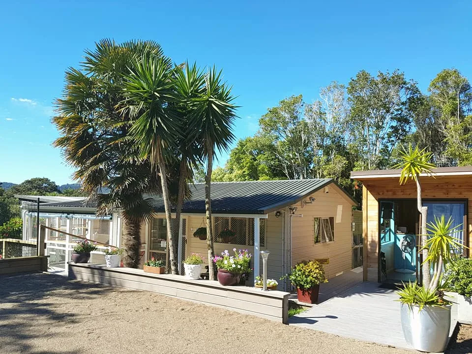 Keepin Katz Boarding Cattery - Chatham Islands pet otel görseli 2