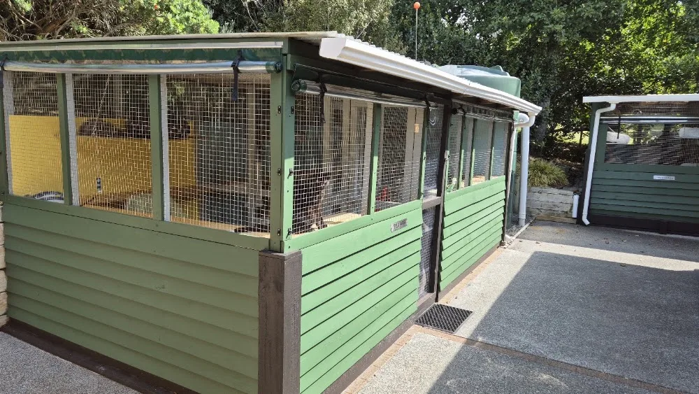 Keepin Katz Boarding Cattery - Chatham Islands pet otel görseli 3