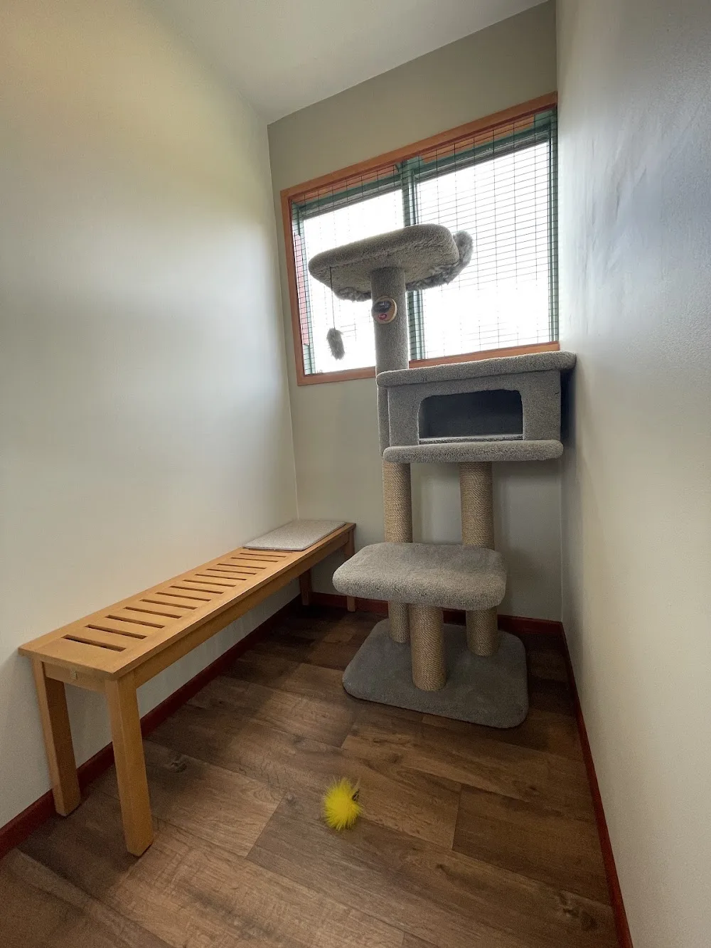 Levin Boarding Cattery - Chatham Islands pet otel görseli 2