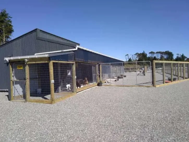 New River Kennels - Chatham Islands pet otel görseli 3