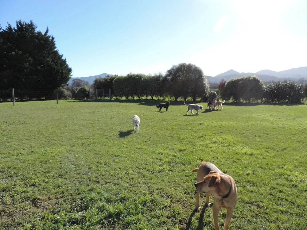 Vin View Pet Lodge - Chatham Islands pet otel